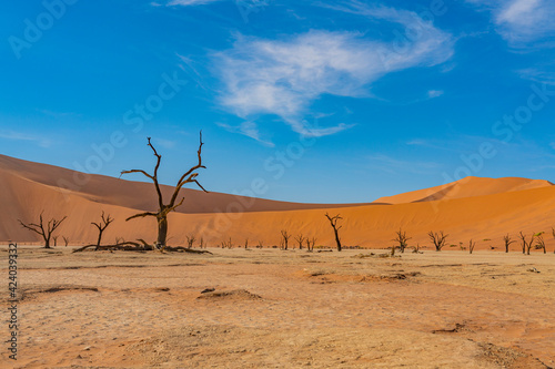 Dead camelthorn trees and red dunes in Deadvlei, Sossusvlei, Namib-Naukluft National Park, Namibia © ggfoto