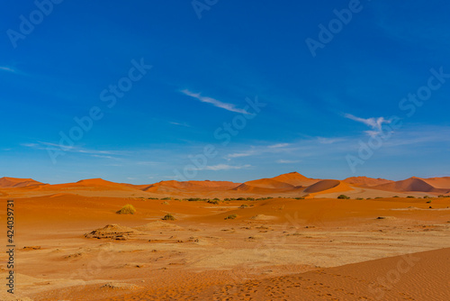 On the way to Deadvlei Ssossusvlei surrounded by great dunes. Red sand. Panoramic view.