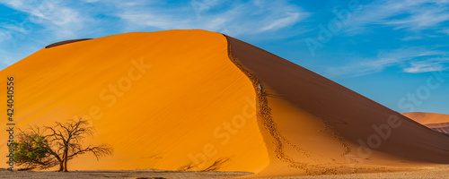 Panorama from dunes 45 of Namib Desert at Sossusvlei in the morning time  Namibia.