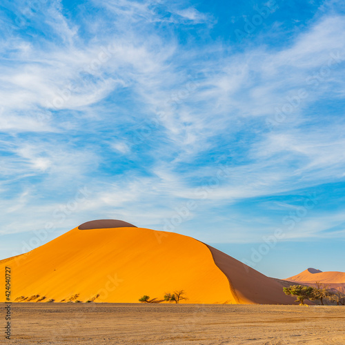 Golden colour of Dunes 45 of Namib Desert at Sossusvlei in the morning time  Namibia.