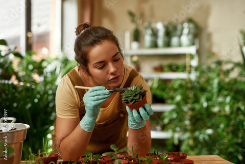 Busy young woman wearing protective gloves examining houseplant in pot using small shovel while transplanting plants at home