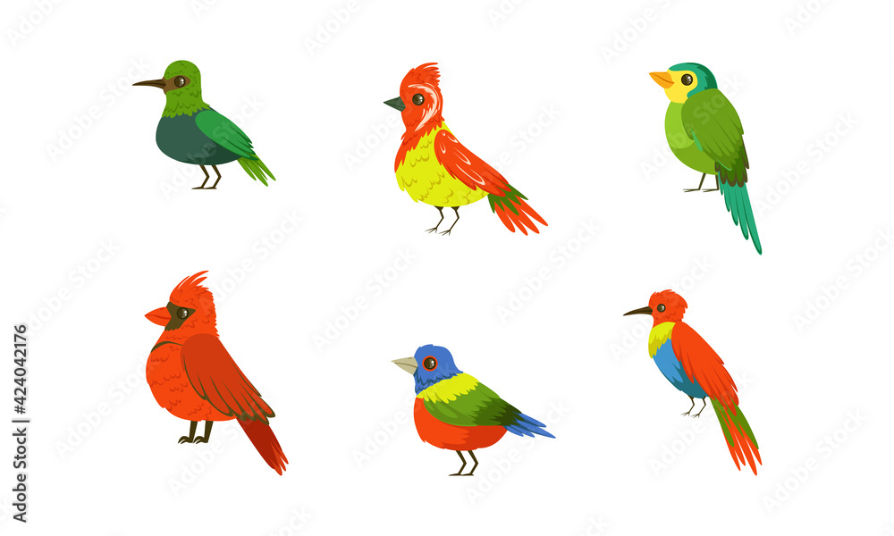 Tropical Parrots Collection, Beautiful Bright Exotic Birds Cartoon Vector Illustration