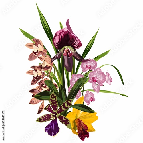 Tropical orchid branches, exotic colorful orchid flower over white background. Fashion summer print for wrapping, fabric, invitation card and your template design.