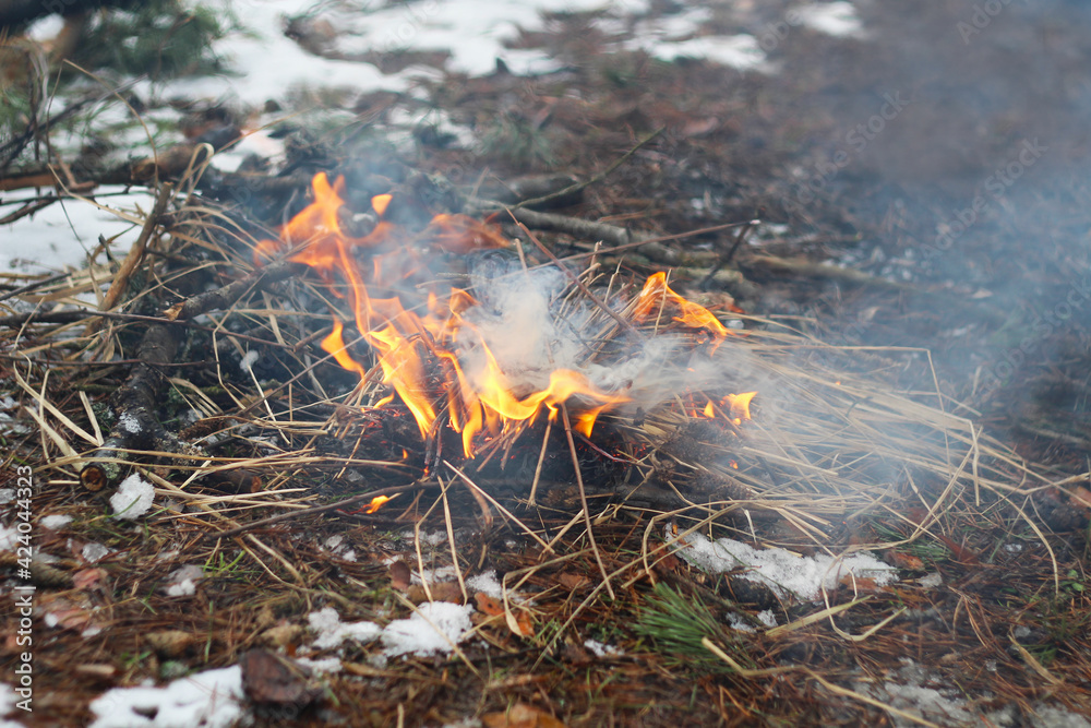 Smoke and fire in the forest. Smoke and fire in the forest.
