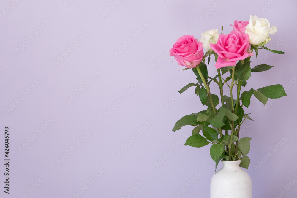 Rose placed on the desk in blue background Rose placed on the desk in blue background