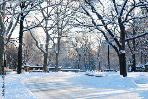 A recent snow covers the ground and tress in Central Park
