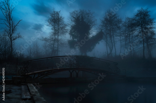 Dark scary park at night. Silhouettes of trees appear from the fog. Ghost bridge in the center of the frame