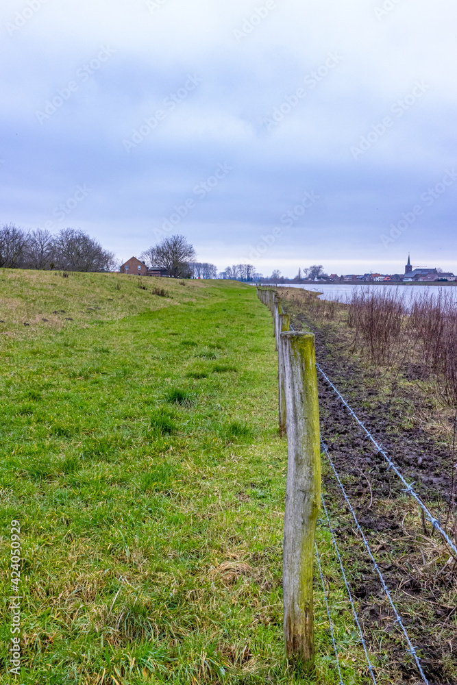 Fence with barbed wire along the Maas river in a Dutch meadow with green grass and wil plants, cloudy day in Geulle in South Limburg, the Netherlands