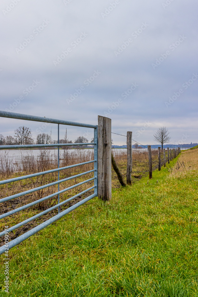 Metal gate in a fence with barbed wire between green grass next to the Mass river, cloudy day in Geulle in South Limburg, the Netherlands
