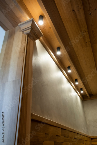 ceiling light sources in the interior wall decoration in a classic style with wood