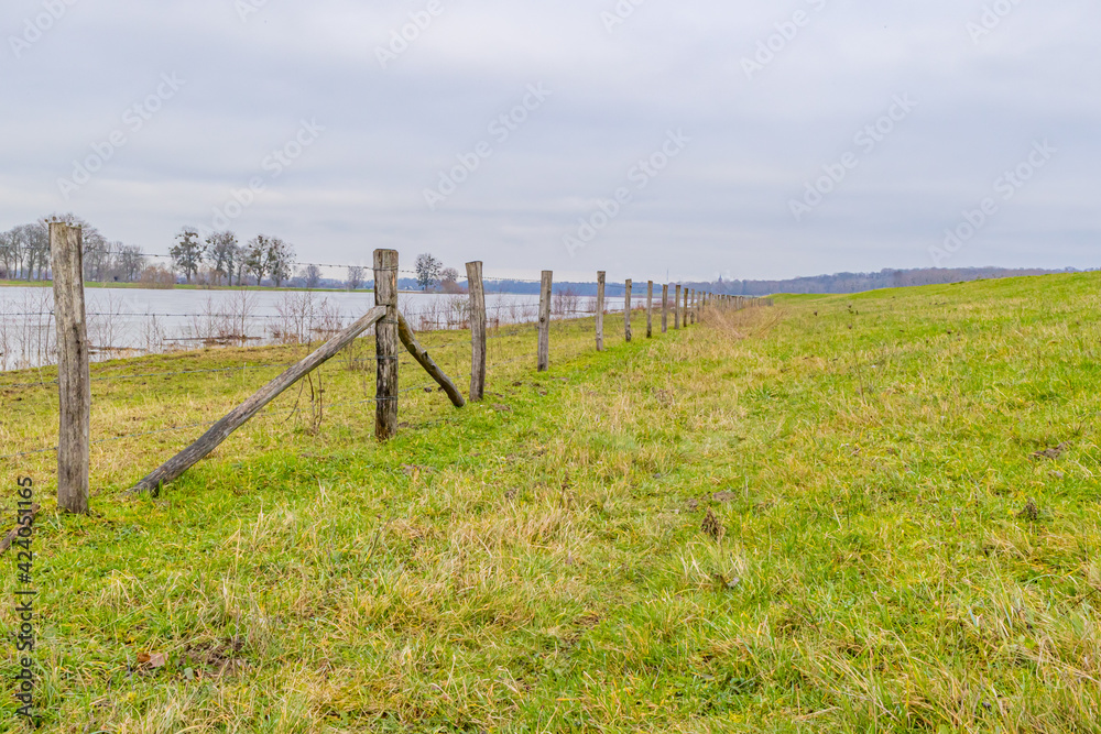 Dutch meadow with green grass, a fence with barbed wire and the Maas river with few trees in the background, cloudy day in Geulle in South Limburg, the Netherlands