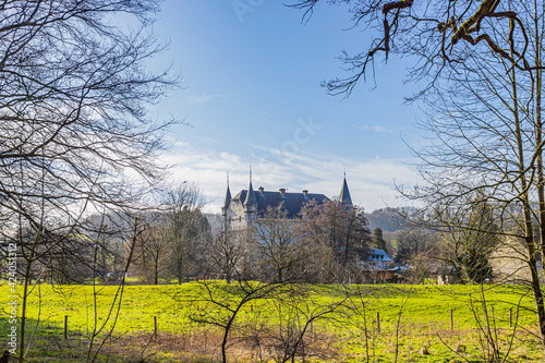 Dutch meadow with bare trees, green grass with Schaloen castle in the background, sunny day with a blue sky in Valkenburg aan de Geul in South Limburg, Netherlands Holland photo