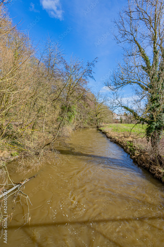 Geul river with its brown waters among bare trees and wild plants, sunny day with a blue sky in Valkenburg aan de Geul municipality in South Limburg, the netherlands