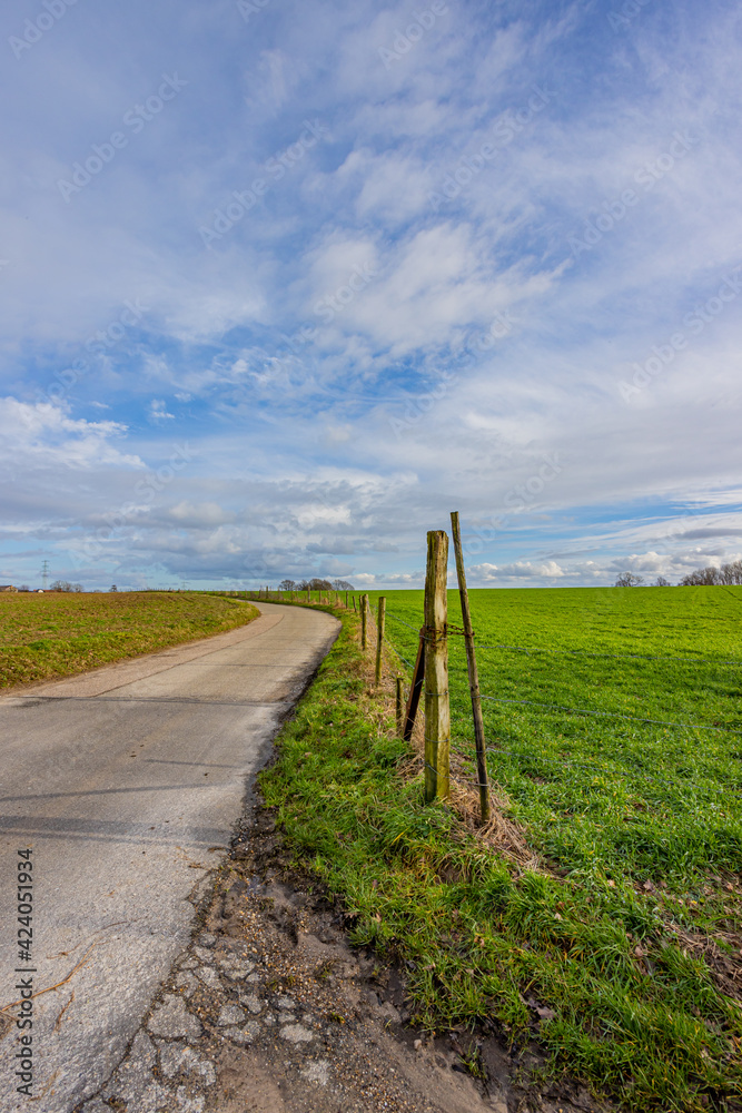 Dutch farmland with a rural path between fences with the horizon in the background, sunny day with a blue sky with white clouds in South Limburg, Netherlands