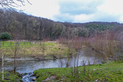 River in the Dutch countryside among wild plants, green grass and a hill with bare trees in the background, sunny day with a blue sky in Stammenderbos in South Limburg, Netherlands photo