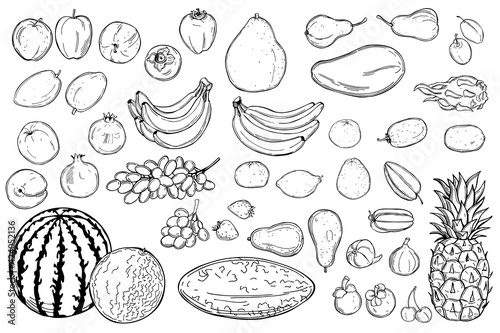 Fototapeta Naklejka Na Ścianę i Meble -  Graphic fruits .Vector  illustration.