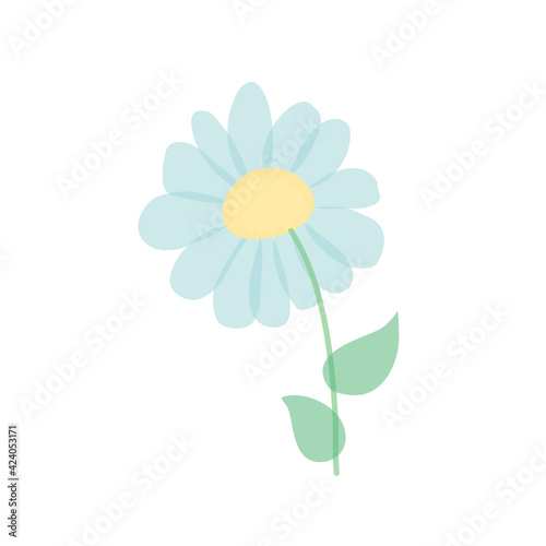 chamomile isolated on white background. Vector illustration of blue daisy flowers with green leaves in cartoon flat style.