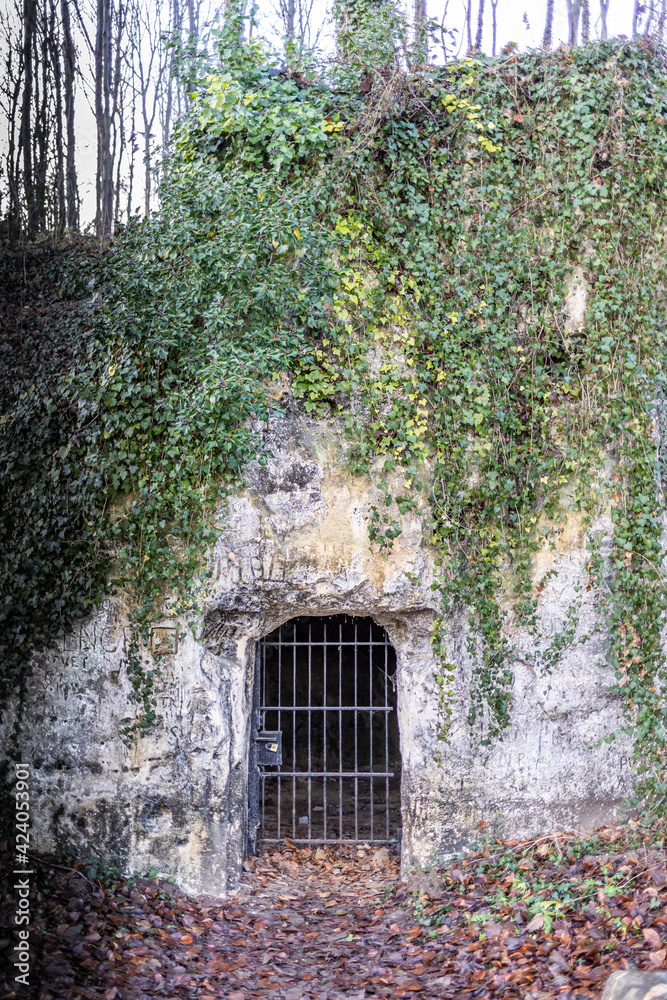Entrance to a cave in a limestone hill with a closed wrought iron gate, green trapping plants and dry leaves on the ground, cloudy day in Cannerberg, South Limburg, Netherlands Entrance to a cave in a limestone hill with a closed wrought iron gate, green trapping plants and dry leaves on the ground, cloudy day in Cannerberg, South Limburg, Netherlands