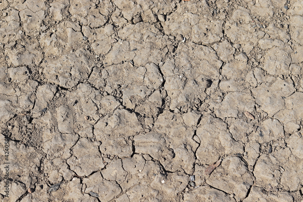 Dried and cracked ground, top view. Drought, no water, lack of moisture, hot climate. Dry surface. Soil in arid areas. Dried and cracked ground, top view. Drought, no water, lack of moisture, hot climate. Dry surface. Soil in arid areas.
