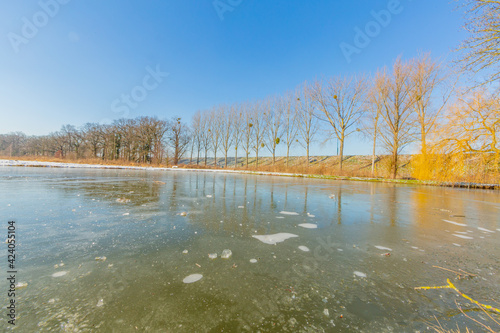 Frozen pond with bare trees on the shore and remnants of snow, sunny winter day with a blue sky in Kasteelpark Elsloo, South Limburg, the Netherlands photo