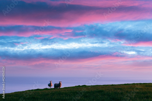 Schilderij op canvas Incredible sunset view on the summer Faroe islands with two sheeps on a foreground