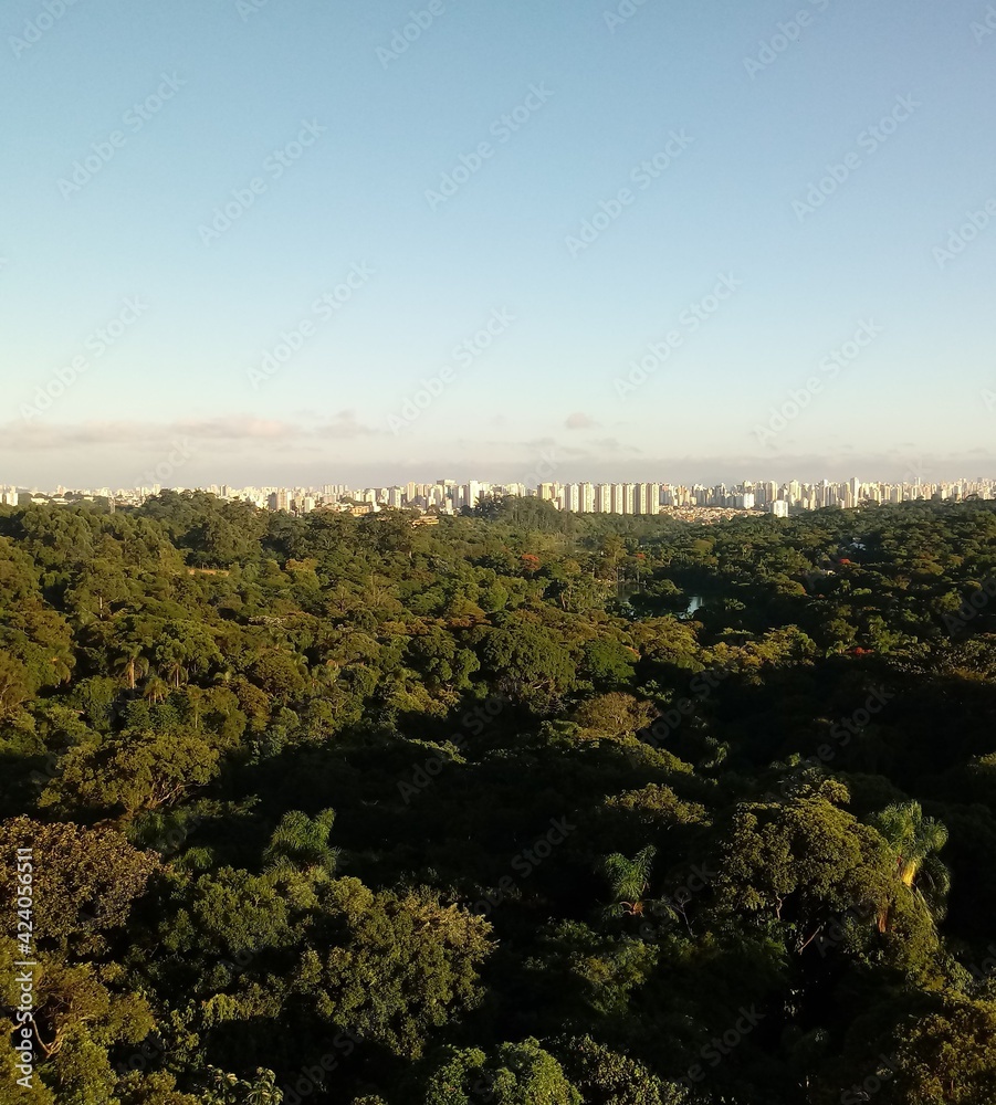 Naklejka premium Nature with city in the background