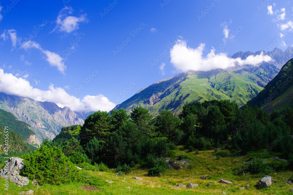 Fototapeta premium Mountain valley in the Cherek-Balkarsky river gorge in the vicinity of Ushtulu