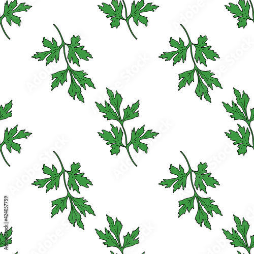 Vector seamless pattern of a sprig of fresh green Parsley with a black outline on a white background. hand-drawn parsley sprig in sketch style square template for packaging design