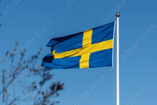 Swedish flag on a flag pole.