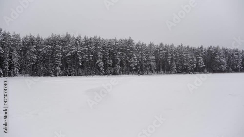 Snow Falls in Slow Motion, Cinematic View, Forest Background with Snowy Field