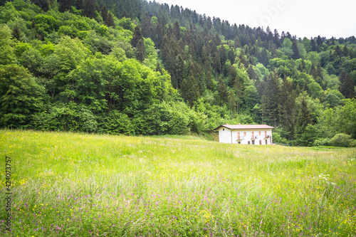 House in the mountains in the middle of wild nature