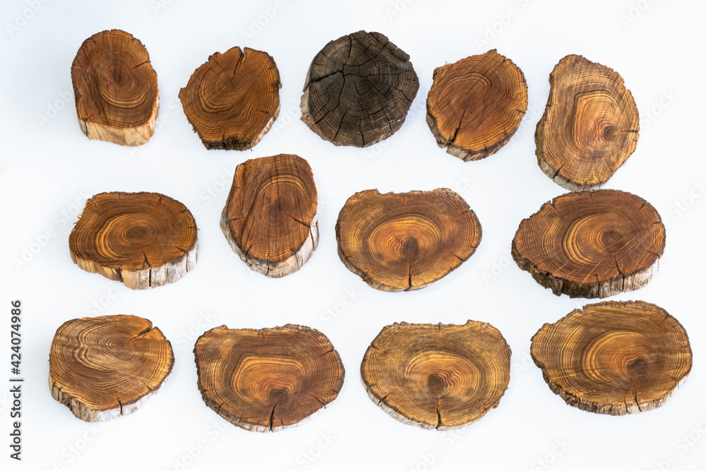 The internal structure, rings, lines, patterns and fragrant structure of the tar tree The internal structure, rings, lines, patterns and fragrant structure of the tar tree