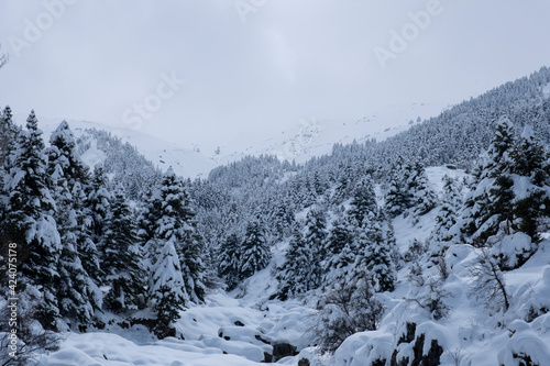 first snow falling on the magnificent mountains and stunning winter landscapes