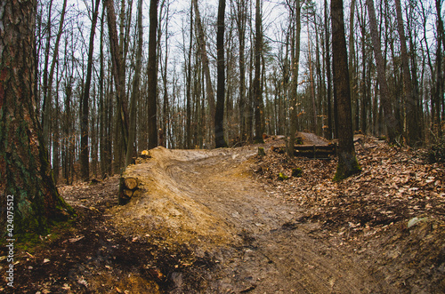 Newly built downhill track in the forest with jumps and narrow curves