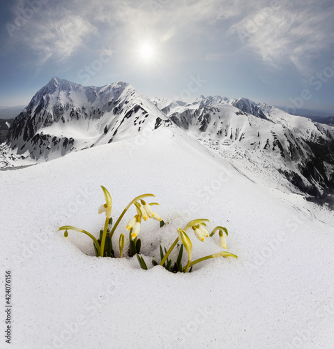 Spring in the Tatras in Eastern Europe