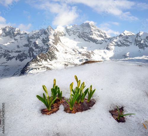 Spring in the Tatras in Eastern Europe