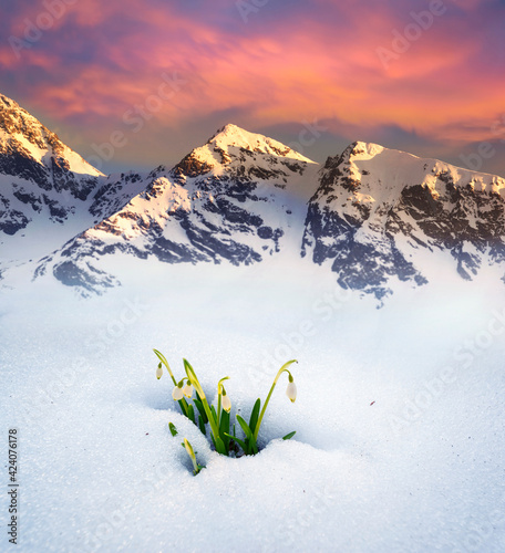 Spring in the Tatras in Eastern Europe