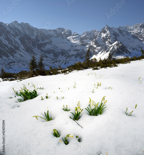 Spring in the Tatras in Eastern Europe