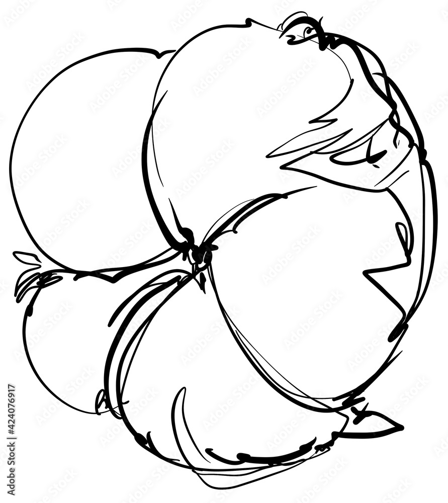 Hand drawn line art cotton flowers. Black contour drawing. Minimal fine art floral illustration on white background. Black and white elegant line drawing. Can be used for logo, pattern, print