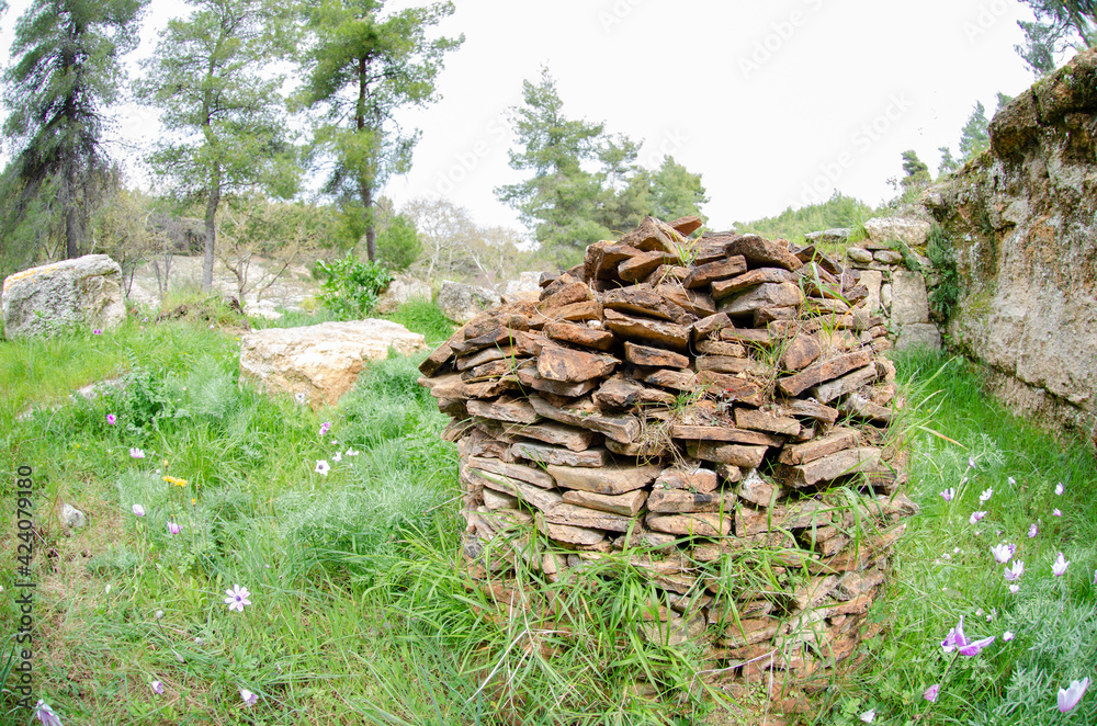 The Amphiareion of Oropos Greece Agora and ruins of ancient houses and damaged ancient ceramics The Amphiareion of Oropos Greece Agora and ruins of ancient houses and damaged ancient ceramics