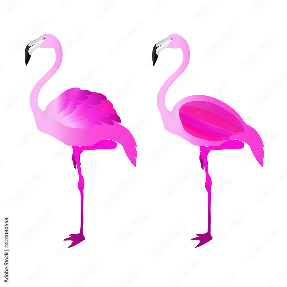 Naklejka premium Flamingo design vector ilustration 
