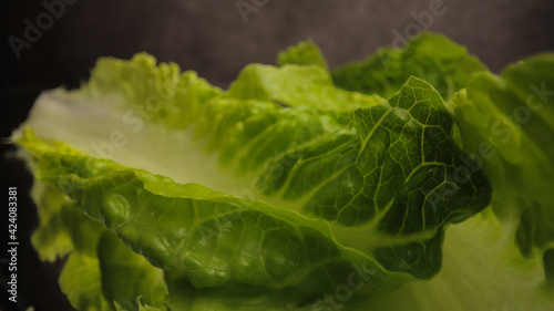 Fresh lettuce leaves in close-up - studio photography
