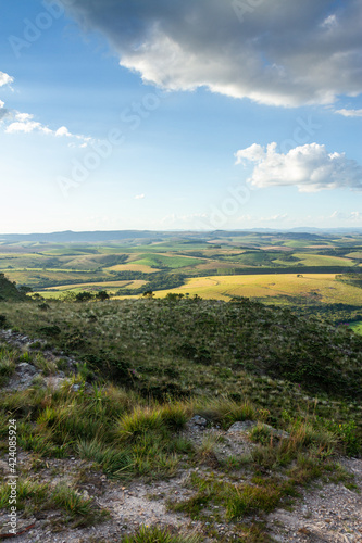 aerial landscape of plantation on farms with blue sky and clouds