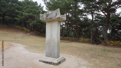 김유신 장군묘 비석 / ancient zeolite in korea