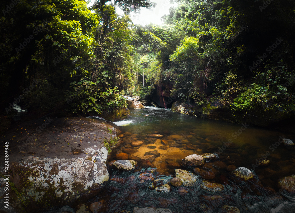 View to the nature around the english well ( poço dos ingleses) in Paraty, Rio de Janeiro - Brazil View to the nature around the english well ( poço dos ingleses) in Paraty, Rio de Janeiro - Brazil