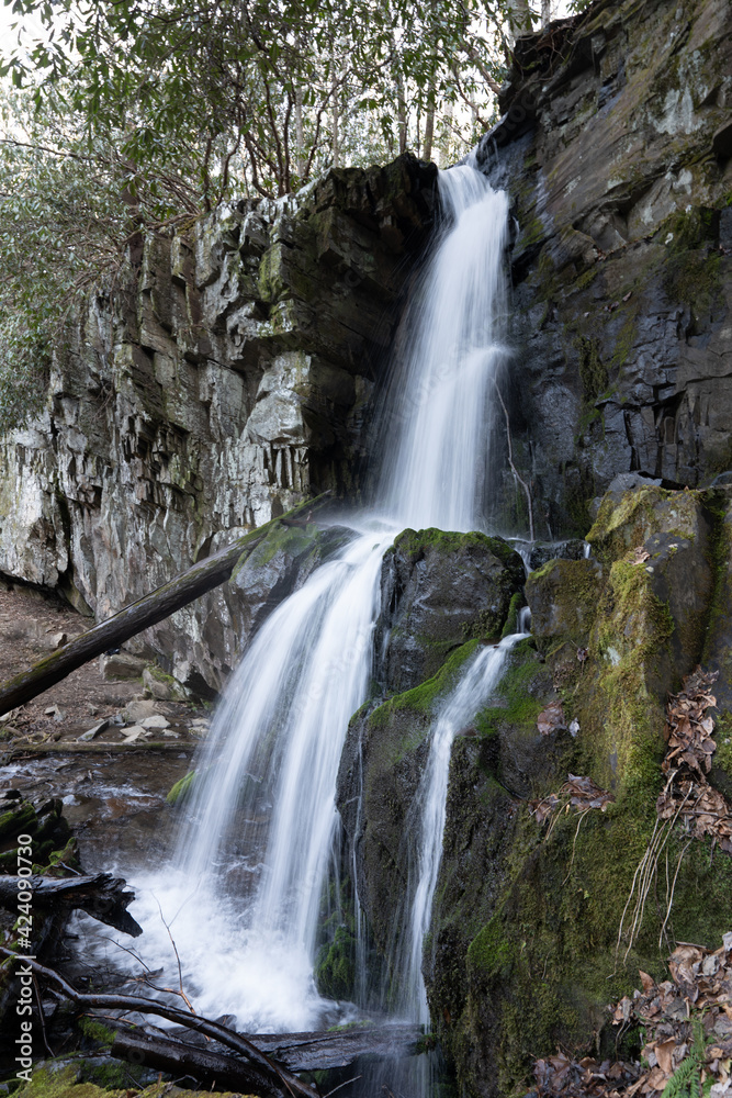 baskins creek waterfall in the forest of tennessee