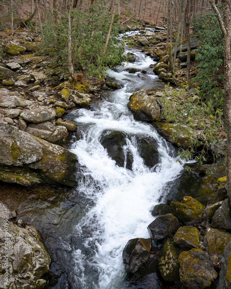 small cascades in the forest of the great smoky mountains national park