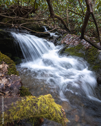 fast flowing waterfall through an overgrown forest canyon