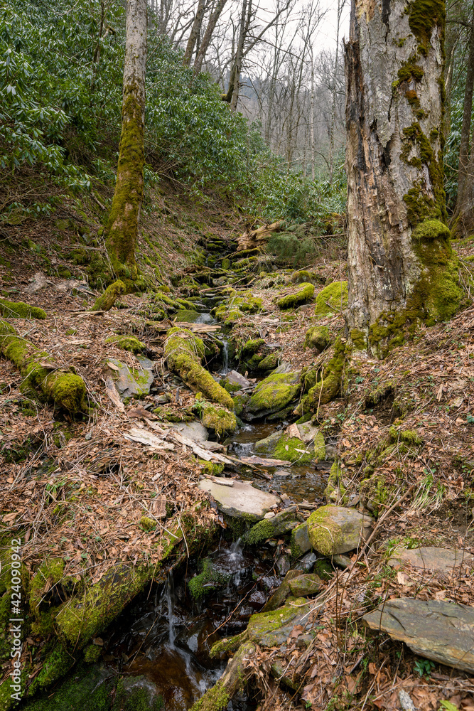 mossy stream flowing down a mountain side mossy stream flowing down a mountain side