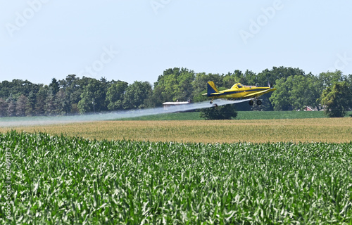 Yellow Crop Duster photo